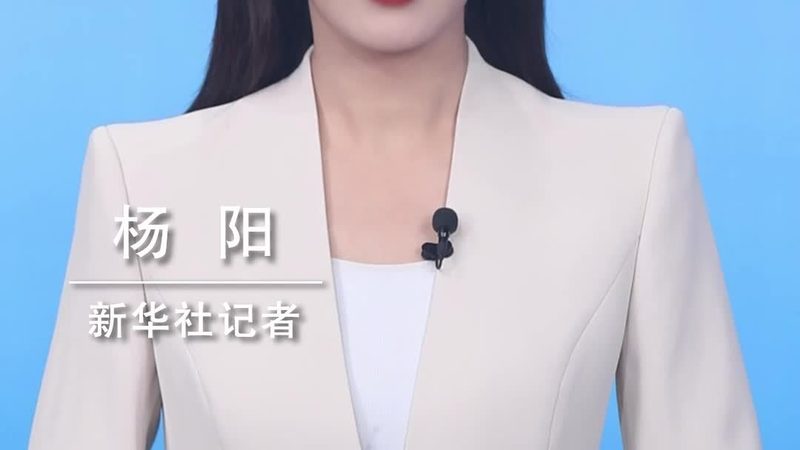 大数据分析技术栈，构建高效数据处理的基石