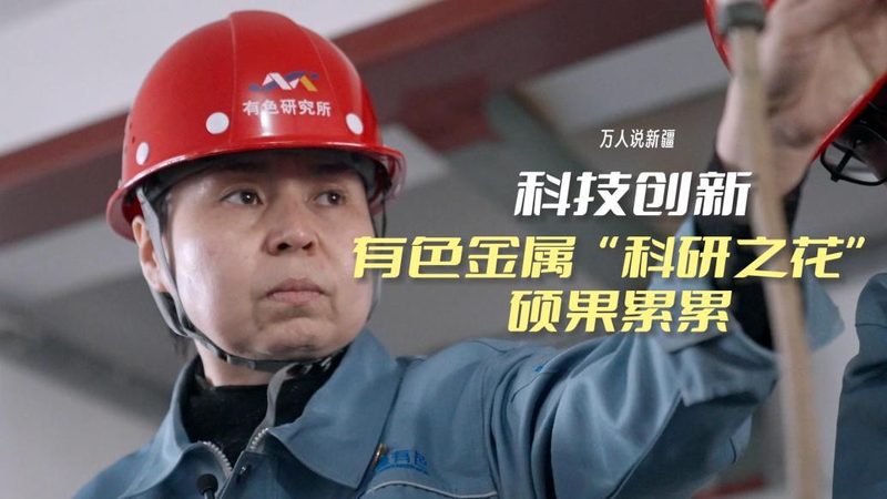 云原生服务网格选型：别让技术焦虑绑架你的架构决策